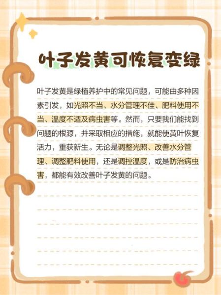 树叶为什么变黄_树叶变黄怎么办