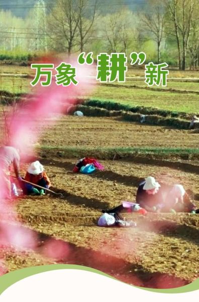 春耕备播_如何选种