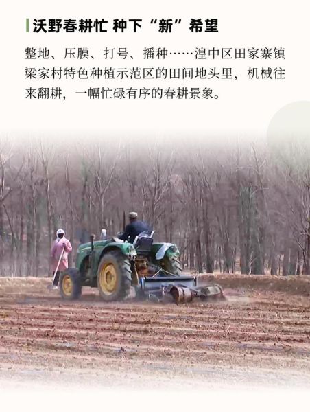 春耕备播_如何选种