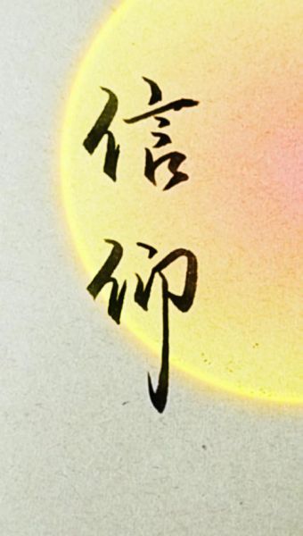 蒜苗炒肉怎么做_家常做法步骤详解