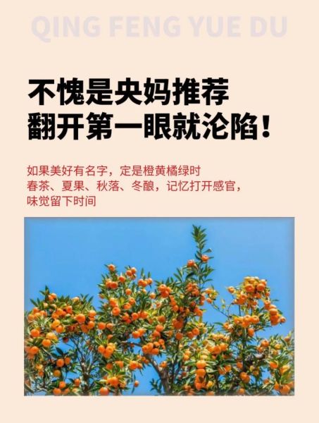 橙黄的表达词语有哪些_如何运用橙黄词语提升文案