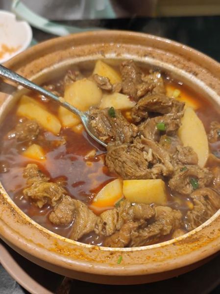 家常炖牛肉怎么做_炖牛肉软烂不柴的秘诀