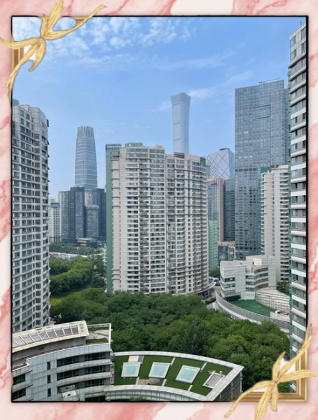 新城国际移民怎么样_新城国际移民靠谱吗