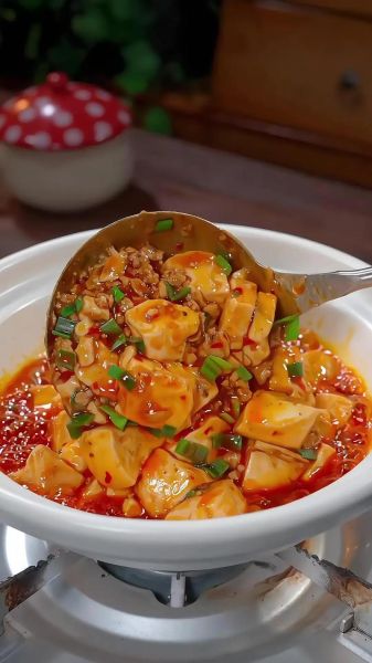 家常豆腐怎么做好吃_豆腐的做法大全