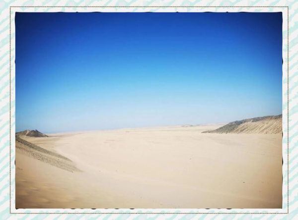 沙漠环境有多恶劣_如何生存