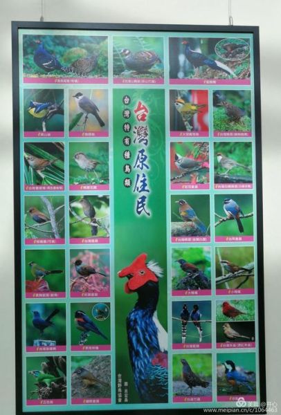 台湾手机号几位数_台湾手机号怎么打