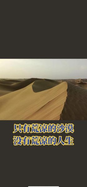 沙漠环境有多恶劣_如何生存