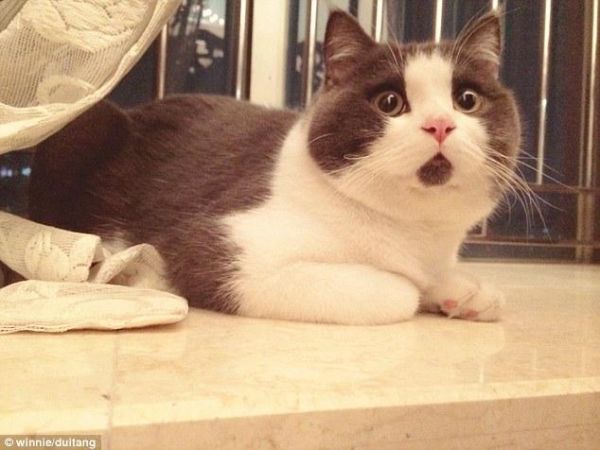 大大的嘴巴_怎么形容