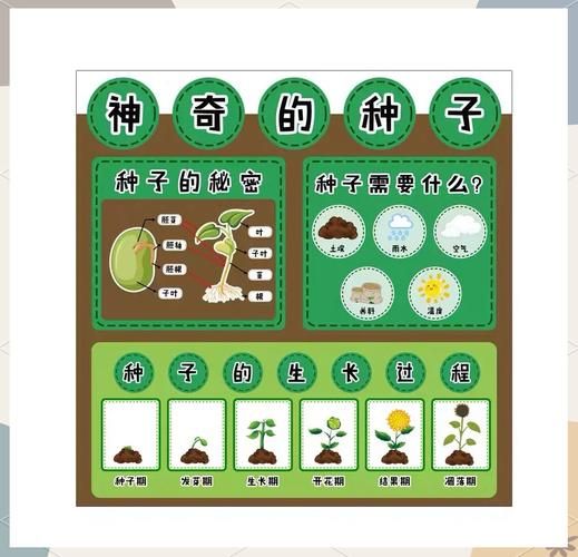 植物生长状态有哪些_如何判断植物生长状态