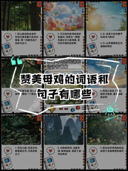 母鸡是什么词语_母鸡是褒义还是贬义