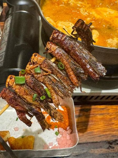 油炸蚂蚱怎么做_油炸蚂蚱怎么做好吃又脆