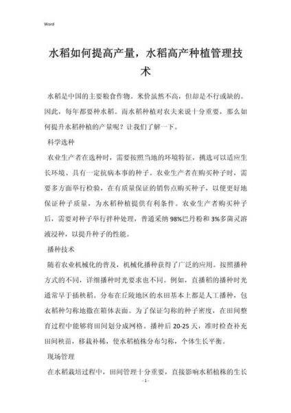 水稻种植技术_如何提高产量