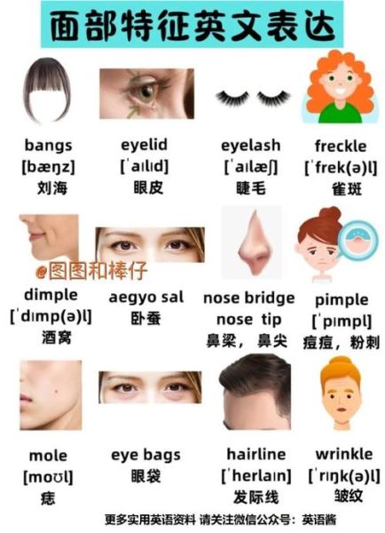 面部样子怎么描述_面部特征有哪些形容词