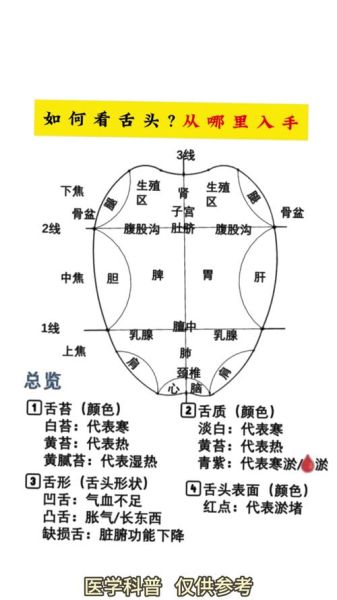 舌头嘴巴是什么词语_如何区分近义表达