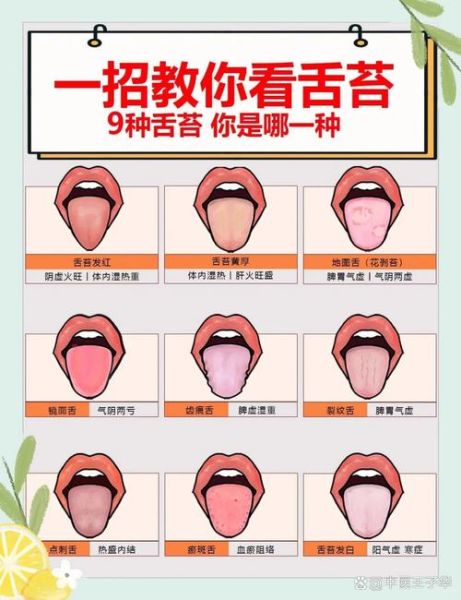 舌头嘴巴是什么词语_如何区分近义表达