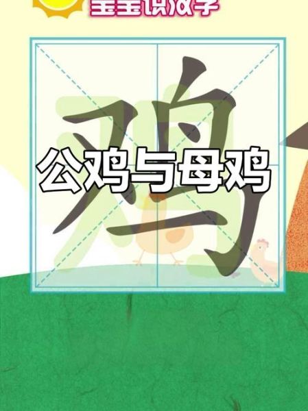 鸡为什么叫_形容鸡的词语有哪些