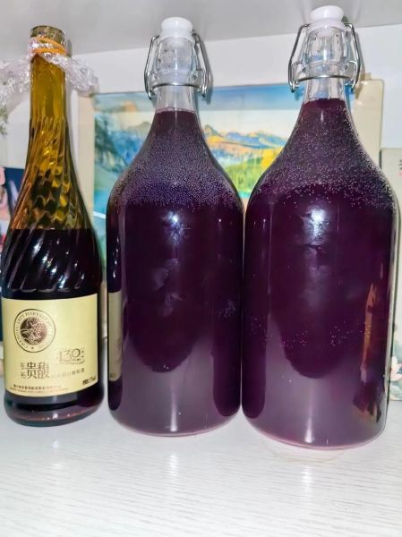 自酿葡萄酒怎么做_自酿葡萄酒需要哪些材料