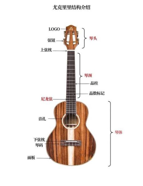 尤克里里和吉他哪个好学_初学者选哪个乐器