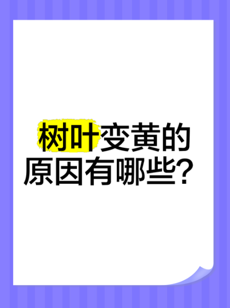 树叶为什么会变黄_树叶变黄的原因有哪些