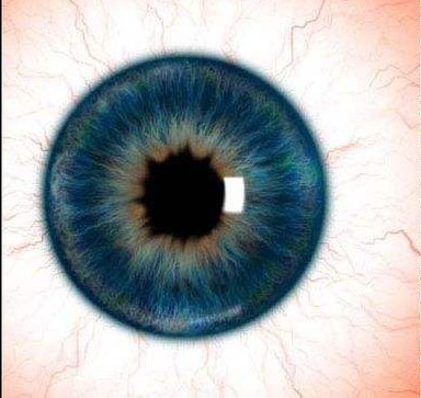 瞳孔是什么_瞳孔放大意味着什么