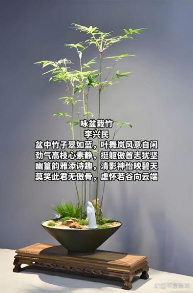 盆栽是不是词语_盆栽算不算词语