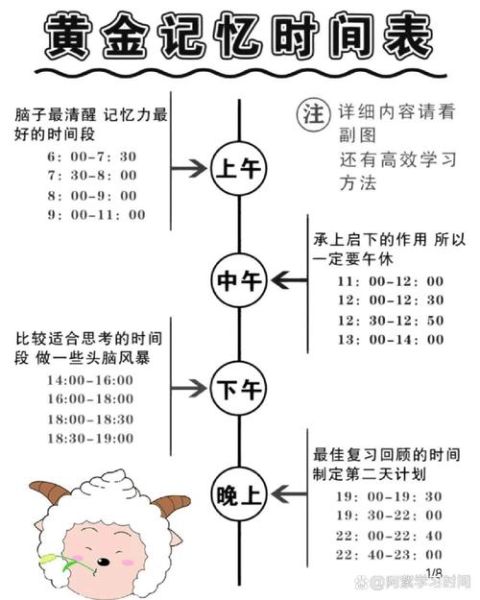 上午到中午时间怎么安排_上午到中午做什么效率最高