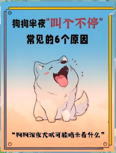 小狗为什么一直叫_小狗半夜叫怎么办
