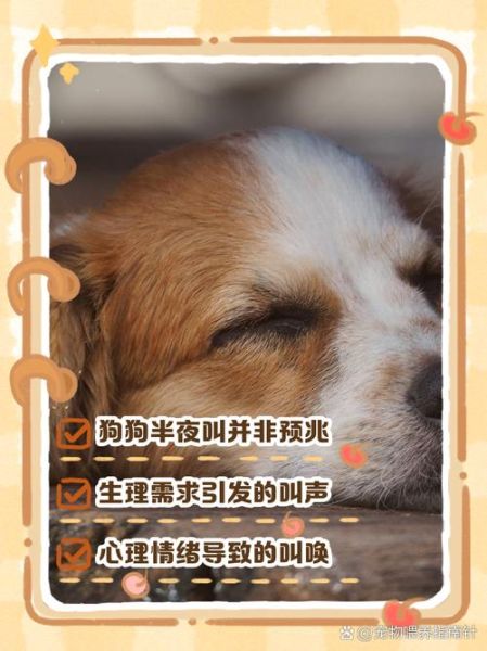 小狗为什么一直叫_小狗半夜叫怎么办