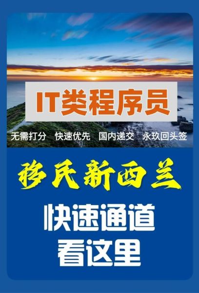 程序员移民哪个国家容易_程序员移民需要什么条件