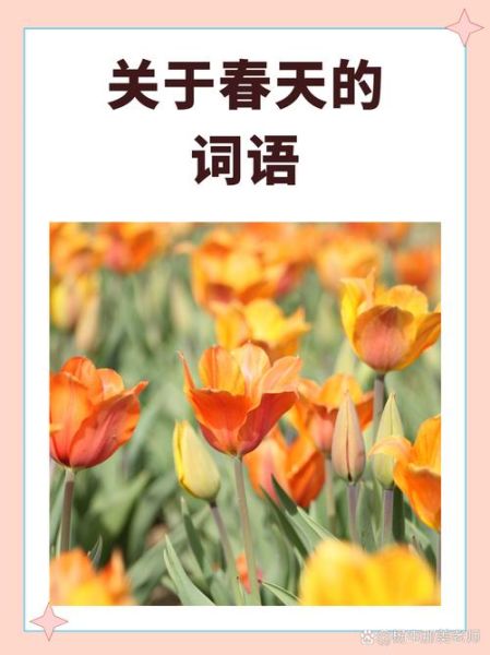 春天有哪些词语_怎么描写春天景色