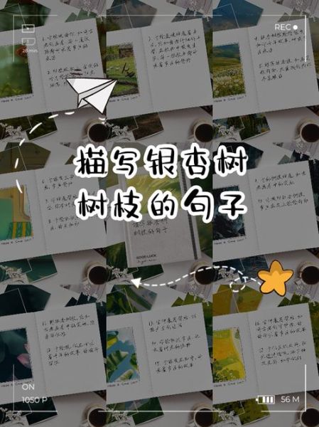 树干描写有哪些词语_如何写出有质感的树干