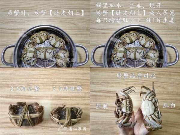 螃蟹蒸多久才熟_蒸螃蟹的正确方法