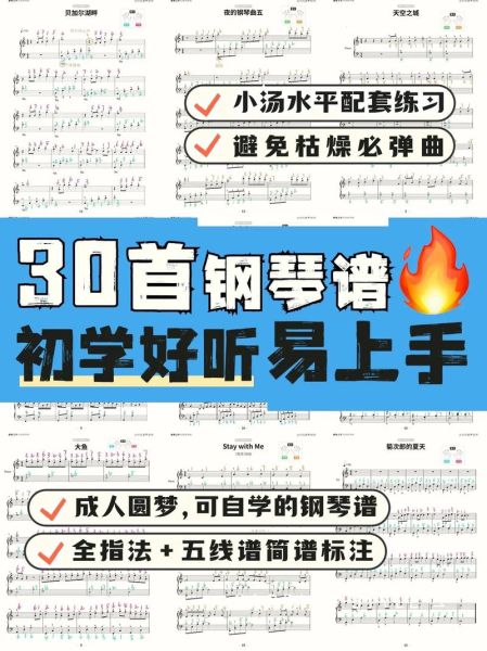 什么弹琴_怎么弹好钢琴