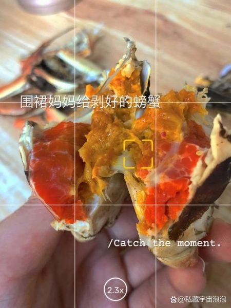 蟹肥什么黄_蟹黄肥美季节是几月