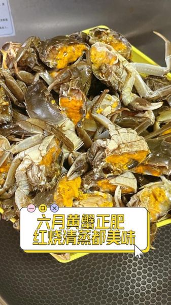 蟹肥什么黄_蟹黄肥美季节是几月