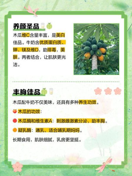 木瓜炖牛奶怎么做_木瓜炖牛奶的功效与禁忌