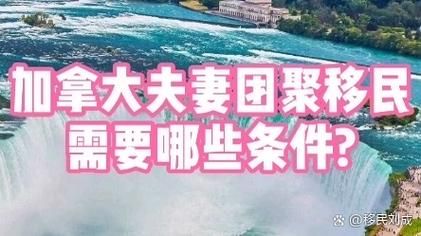 加拿大婚姻移民条件_配偶担保流程