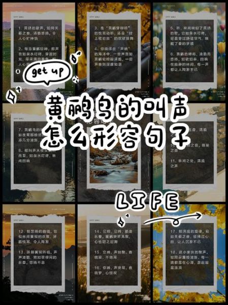 鸟儿为什么叫得这么好听_如何模仿鸟叫