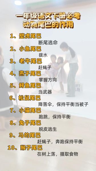 尾巴像什么_尾巴有什么作用