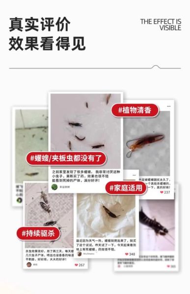 家里有虫子怎么快速清除_什么药能赶走虫子