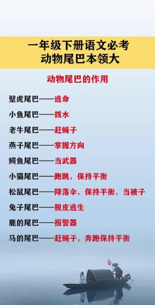 尾巴像什么_尾巴有什么作用