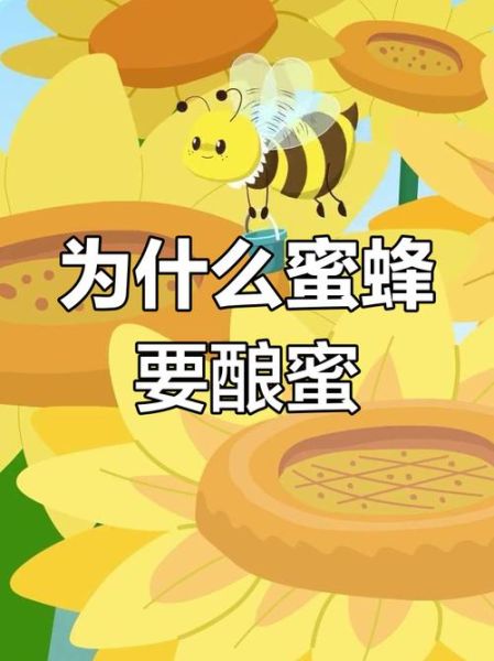 蜜蜂为什么采蜜_蜂蜜是怎么酿成的