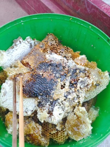 蜜蜂为什么采蜜_蜂蜜是怎么酿成的