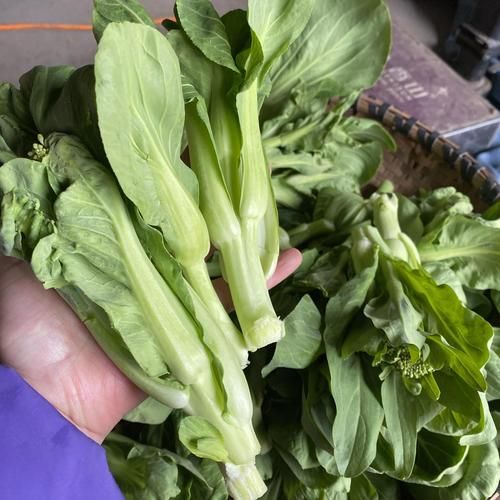 霜打的蔬菜还能吃吗_霜打后营养会流失吗