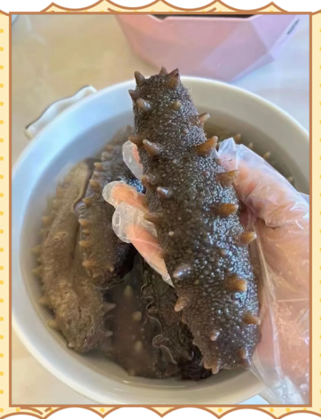 小米辽参怎么泡发_正宗做法步骤