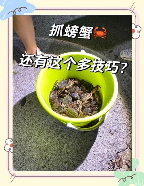 抓螃蟹的最佳时间_抓螃蟹用什么工具