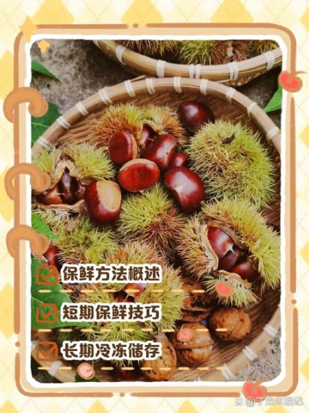 栗子怎么保存不会坏_新鲜栗子能放多久