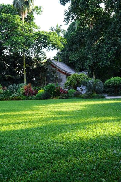 绿色气息是什么意思_如何营造绿色气息