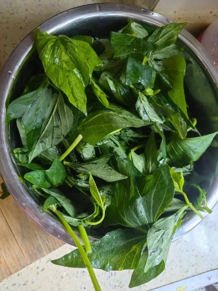 红薯叶馍馍怎么做_红薯叶馍馍的家常做法