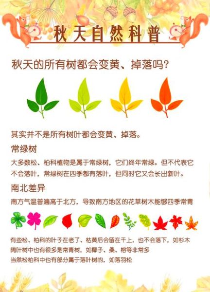 树叶为什么会变黄掉落_秋天落叶过程